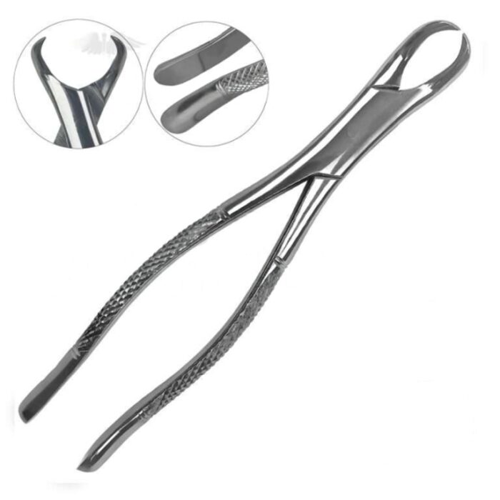 3 Pcs Dental Extracting Forceps #23 Cow Horn for Lower Molar | SM0070 - Image 1